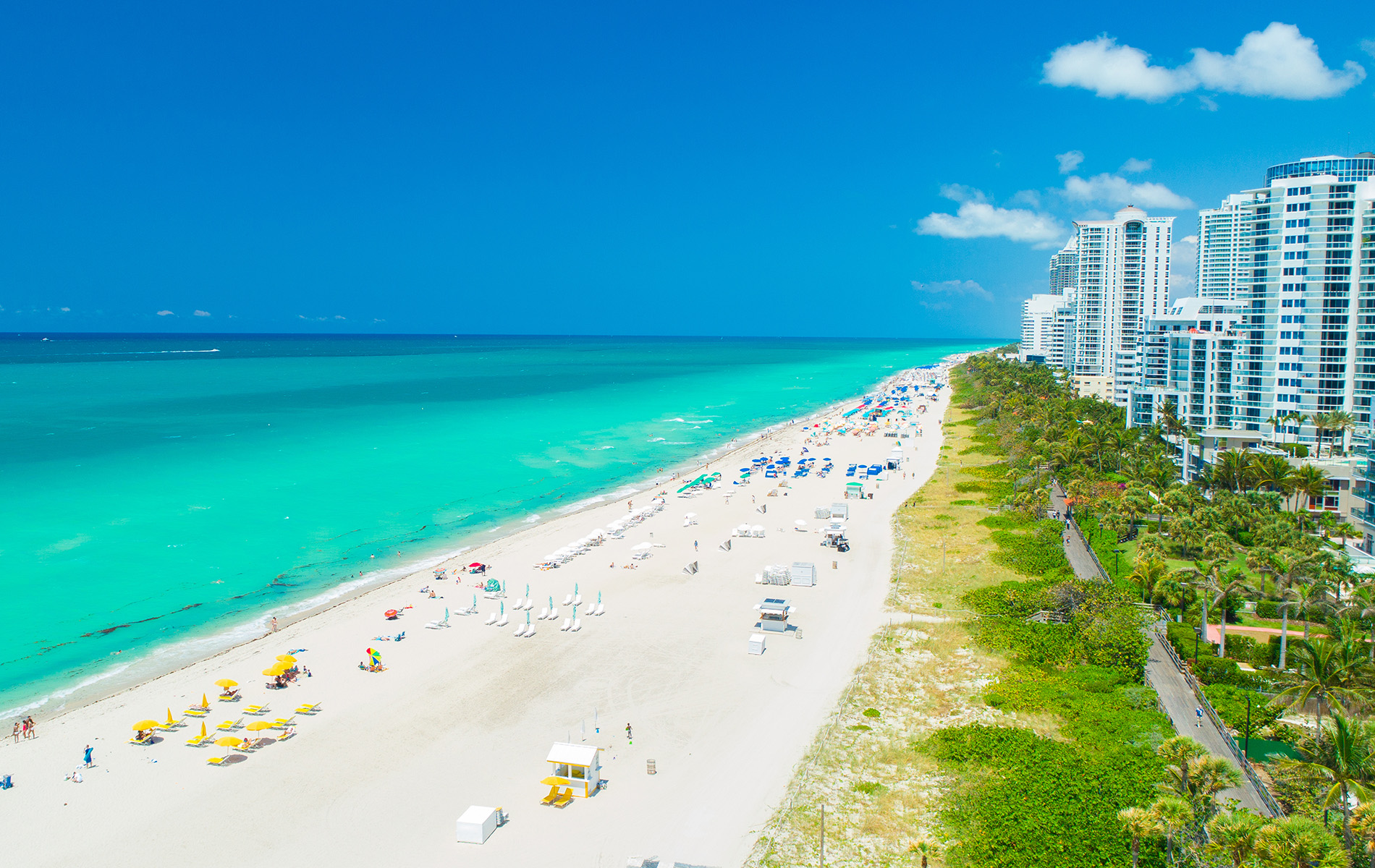 The image depicts a vibrant beach scene with a clear sky, palm trees, a white sandy beach, a blue ocean, a resort building, and a cityscape in the distance.