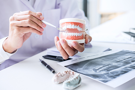 The image shows two separate photos of a dental professional holding up a model set of teeth with a magnifying glass, demonstrating the use of dental tools and equipment on a tooth model.