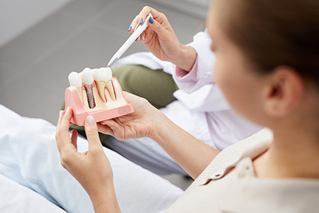A person holding a tooth model while wearing a stethoscope, examining it closely.